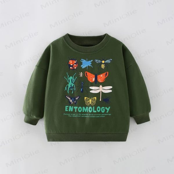 ENTOMOLOGY Kid Boy Various Insects Sweatshirt