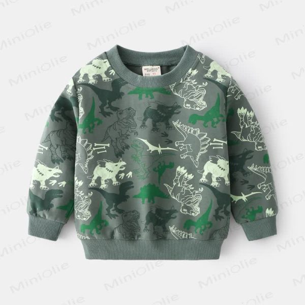 Kid Boy Dinosaurs Grey Green Sweatshirt