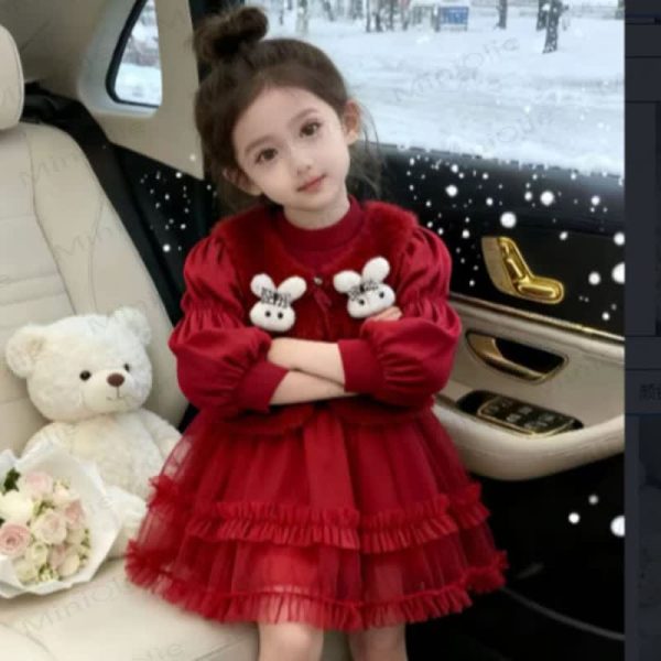 Baby Toddler Girl Bunny Mesh Dress